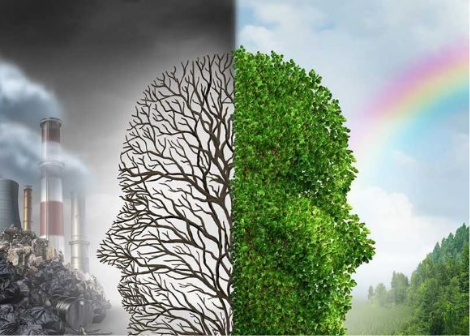 Medio ambiente